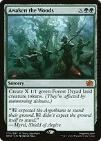 Awaken the Woods — The Brothers' War