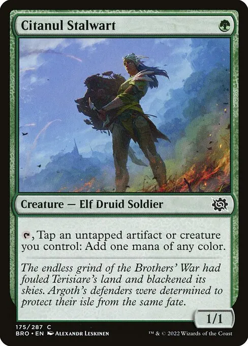 Citanul Stalwart — The Brothers' War