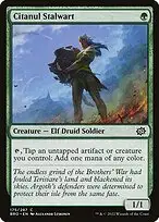 Citanul Stalwart — The Brothers' War