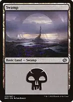 Swamp — The Brothers' War