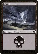 Swamp — The Brothers' War