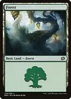Forest — The Brothers' War