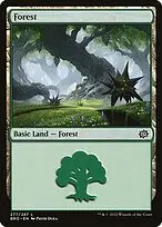 Forest — The Brothers' War
