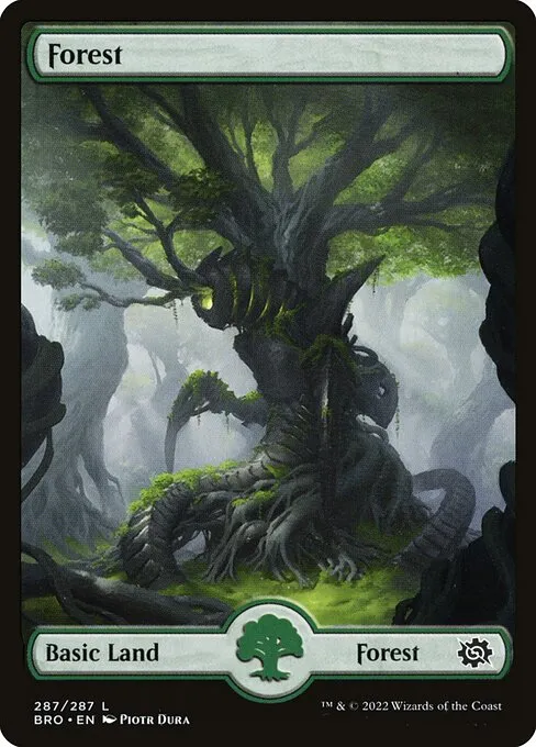Forest — The Brothers' War