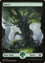 Forest — The Brothers' War