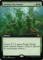 Awaken the Woods — The Brothers' War