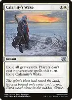 Calamity's Wake — The Brothers' War