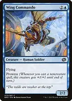 Wing Commando — The Brothers' War
