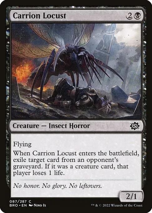 Carrion Locust — The Brothers' War