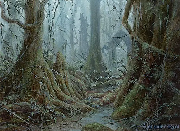 Art detail — Tainted Wood