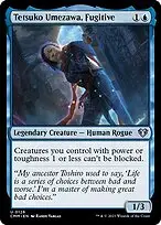 Tetsuko Umezawa, Fugitive — Commander Masters