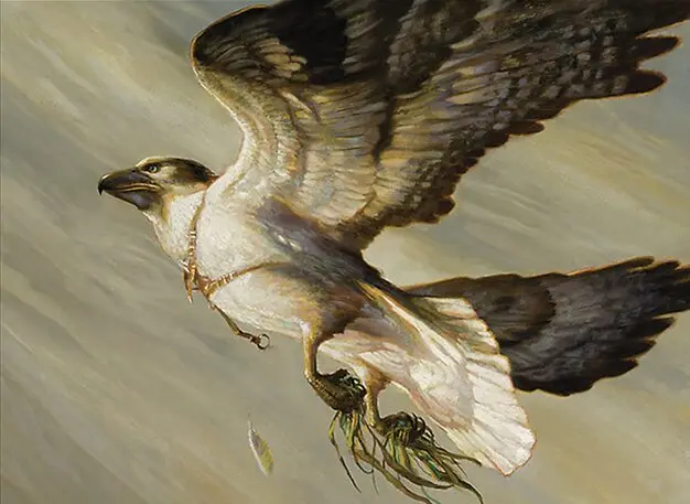 Art detail — Cartographer's Hawk