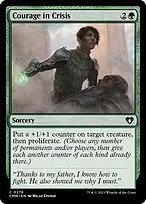 Courage in Crisis — Commander Masters