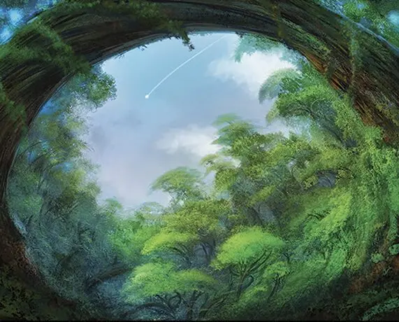 Art detail — Forest