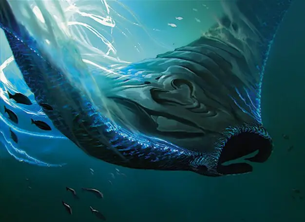 Art detail — Deepglow Skate