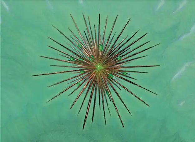 Art detail — Wayfarer's Bauble