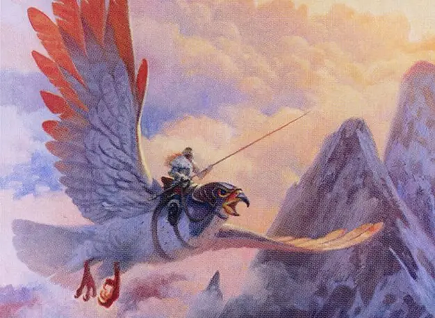 Art detail — Coalition Skyknight
