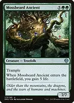 Mossbeard Ancient — Dominaria United