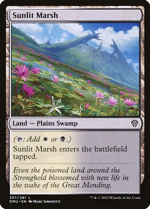 Sunlit Marsh — Dominaria United