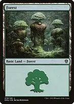 Forest — Dominaria United