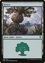 Forest — Dominaria United