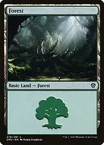 Forest — Dominaria United