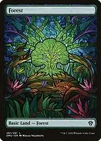 Forest — Dominaria United