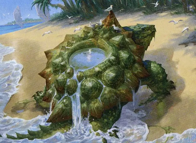 Art detail — Tidepool Turtle