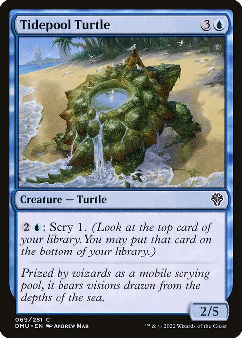 Tidepool Turtle — Dominaria United