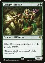 Canopy Tactician — Kaldheim