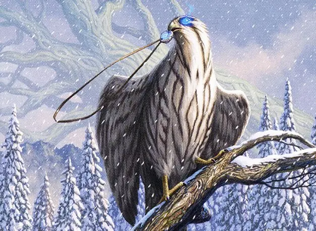 Art detail — Pilfering Hawk