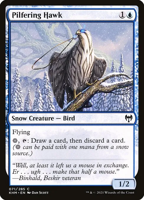 Pilfering Hawk — Kaldheim