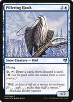 Pilfering Hawk — Kaldheim