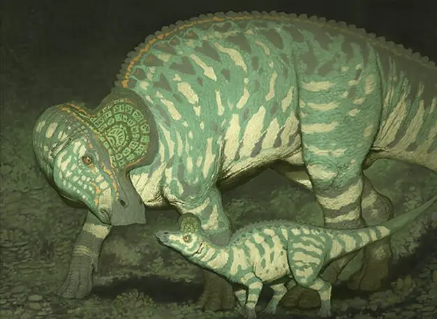 Art detail — Nurturing Bristleback