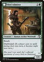Bird Admirer // Wing Shredder — Innistrad: Midnight Hunt