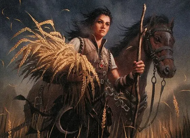 Art detail — Ambitious Farmhand // Seasoned Cathar