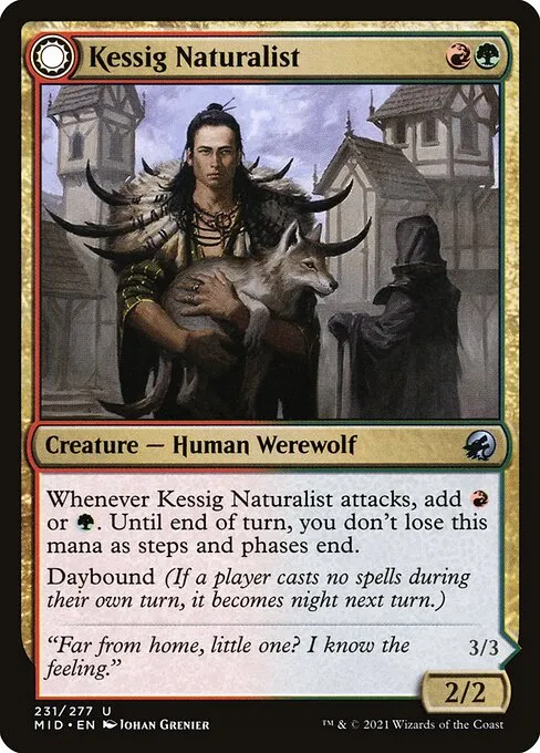 Kessig Naturalist // Lord of the Ulvenwald — Innistrad: Midnight Hunt