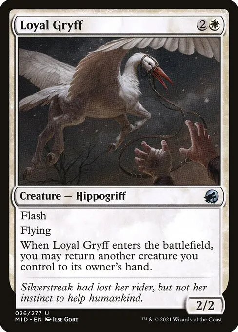 Loyal Gryff — Innistrad: Midnight Hunt