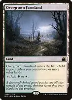 Overgrown Farmland — Innistrad: Midnight Hunt