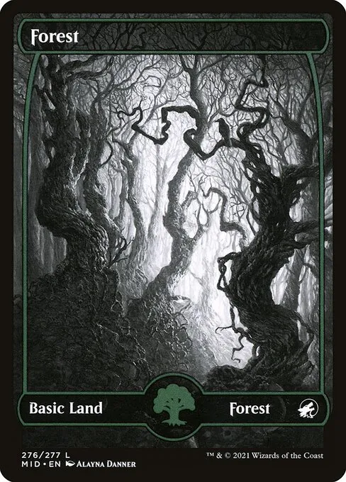 Forest — Innistrad: Midnight Hunt