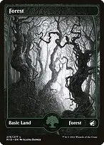 Forest — Innistrad: Midnight Hunt