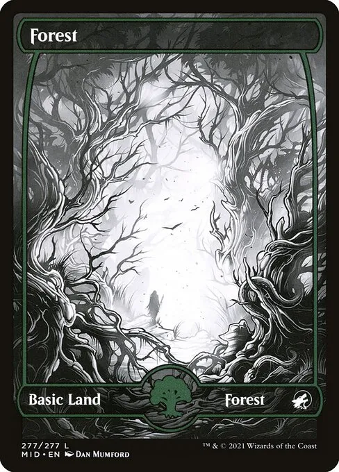 Forest — Innistrad: Midnight Hunt
