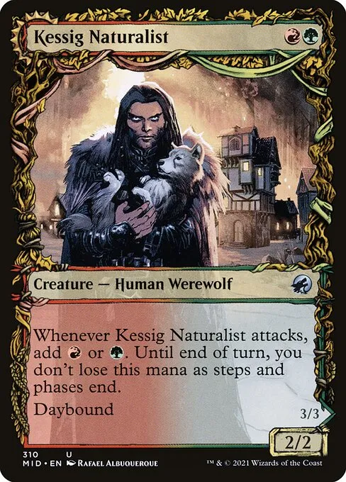 Kessig Naturalist // Lord of the Ulvenwald — Innistrad: Midnight Hunt