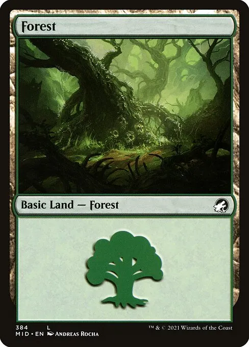 Forest — Innistrad: Midnight Hunt