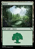 Forest — Murders at Karlov Manor