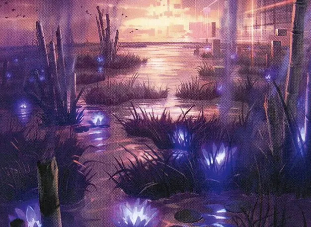 Art detail — Takenuma, Abandoned Mire