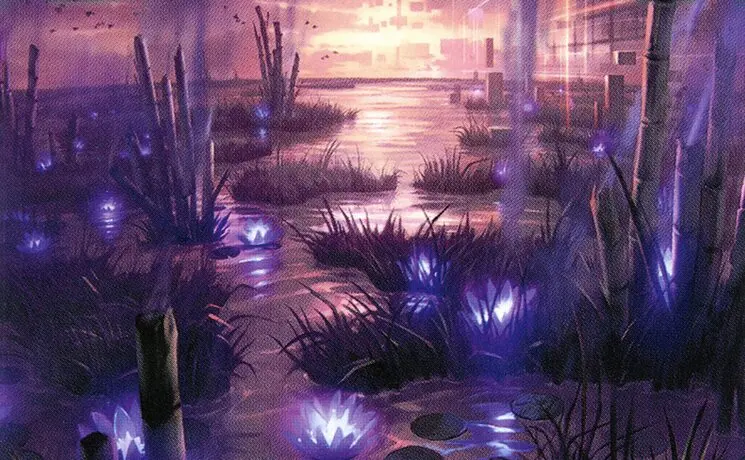 Art detail — Takenuma, Abandoned Mire