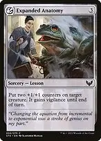 Expanded Anatomy — Strixhaven: School of Mages