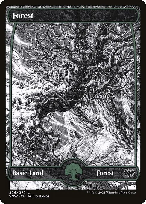 Forest — Innistrad: Crimson Vow