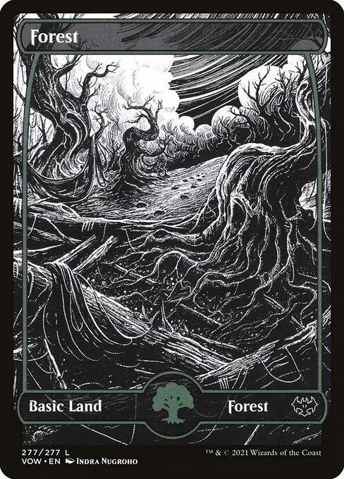 Forest — Innistrad: Crimson Vow